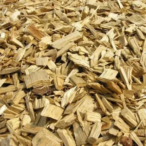 Pine Wood Chips